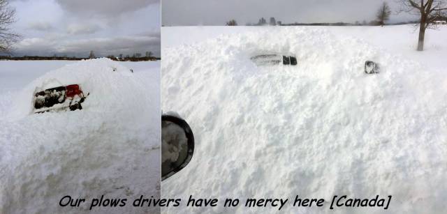 daily picdump 92 pics 35.html - 92 HD Photos | Premium Gallery 2016