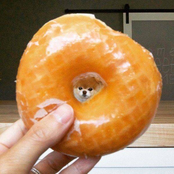 daily picdump 92 pics 35.html - 92 HD Photos | Premium Gallery 2016