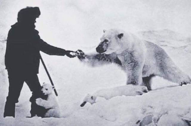 daily picdump 98 pics 45.html - 98 HD Photos | Premium Gallery 2016