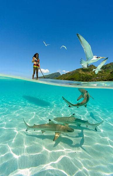 daily picdump 98 pics 45.html - 98 HD Photos | Premium Gallery 2016