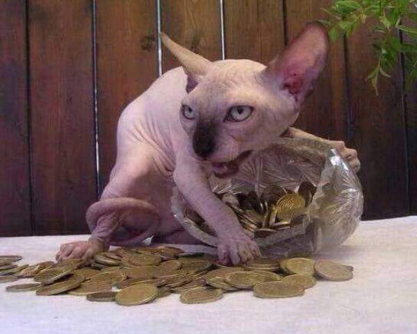 daily picdump 98 pics 45.html - 98 HD Photos | Premium Gallery 2016