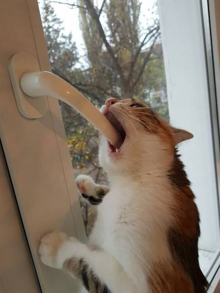 daily picdump 98 pics 45.html - 98 HD Photos | Premium Gallery 2016