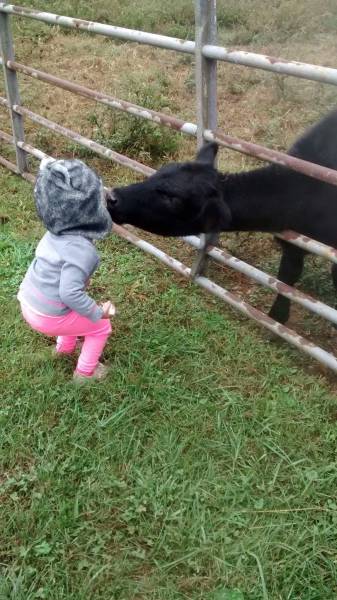 daily picdump 98 pics 45.html - 98 HD Photos | Premium Gallery 2016