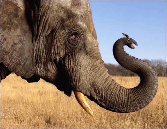 daily picdump 98 pics 45.html - 98 HD Photos | Premium Gallery 2016