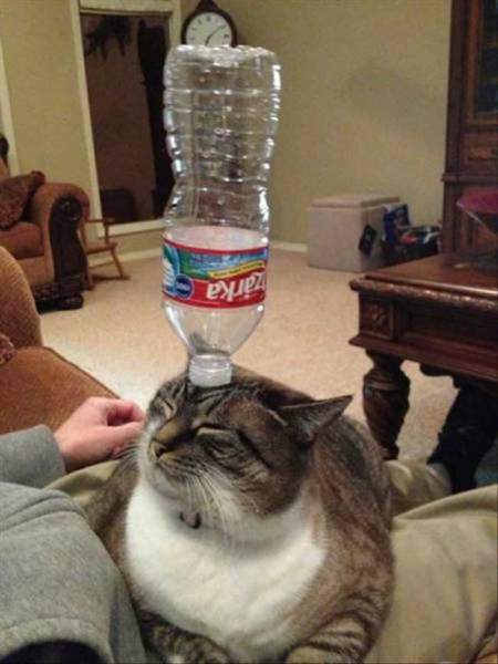 daily picdump 98 pics 45.html - 98 HD Photos | Premium Gallery 2016