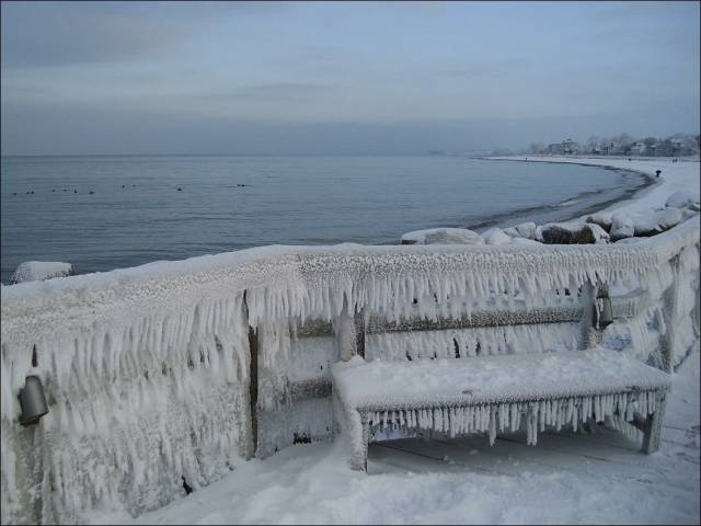 daily picdump 98 pics 45.html - 98 HD Photos | Premium Gallery 2016