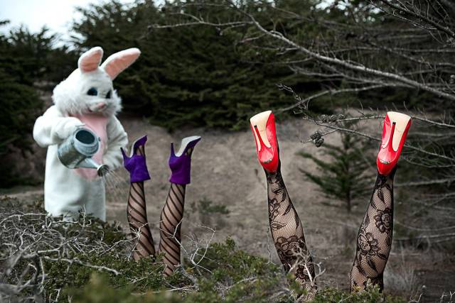 daily picdump 98 pics 45.html - 98 HD Photos | Premium Gallery 2016