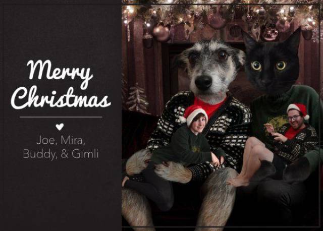 daily picdump 98 pics 45.html - 98 HD Photos | Premium Gallery 2016