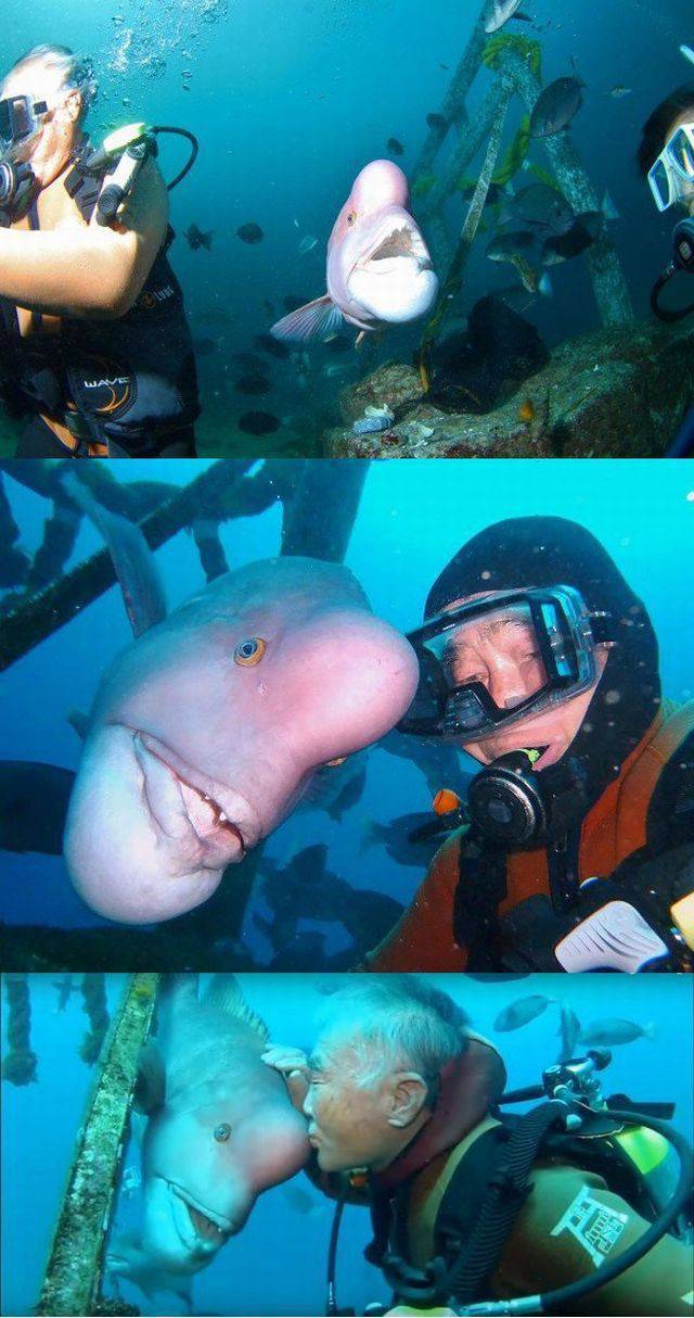 daily picdump 98 pics 45.html - 98 HD Photos | Premium Gallery 2016