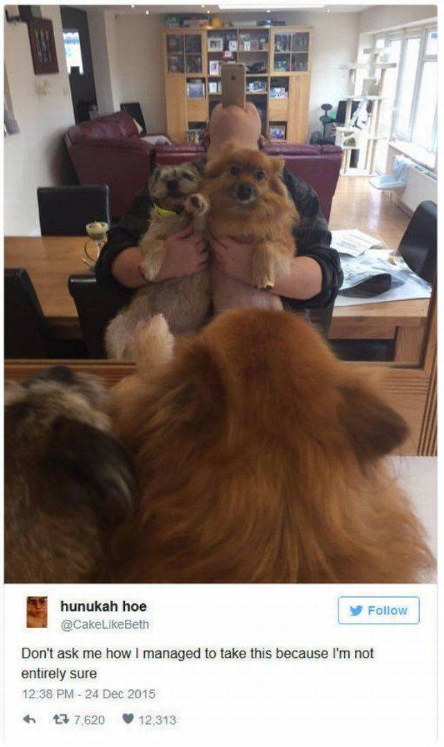 daily picdump 98 pics 45.html - 98 HD Photos | Premium Gallery 2016