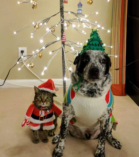 morning picdump 50 pics 22.html - 50 HD Photos | Premium Gallery 2016