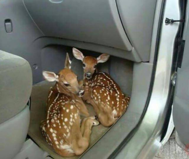 Daily Picdump [WEEKEND EDITION]