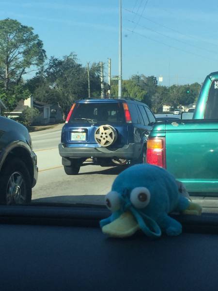 daily picdump weekend edition 53 pics 21.html - 53 HD Photos | Premium Gallery 2016