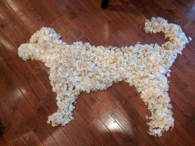 daily picdump weekend edition 53 pics 21.html - 53 HD Photos | Premium Gallery 2016