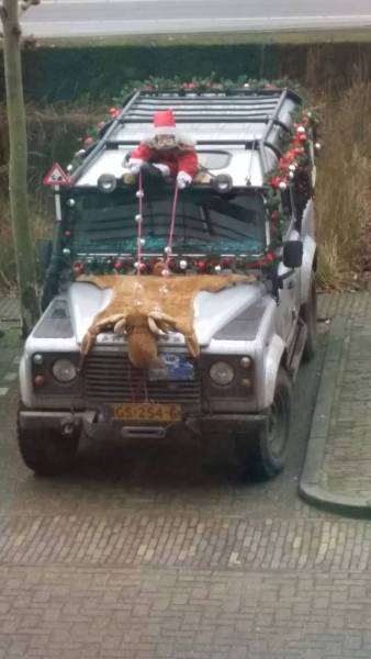 daily picdump 86 pics 3.html - 86 HD Photos | Premium Gallery 2016