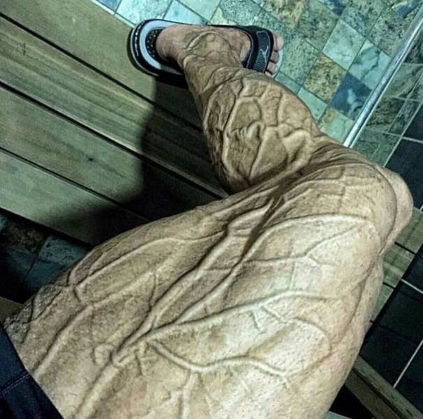 daily picdump 86 pics 3.html - 86 HD Photos | Premium Gallery 2016