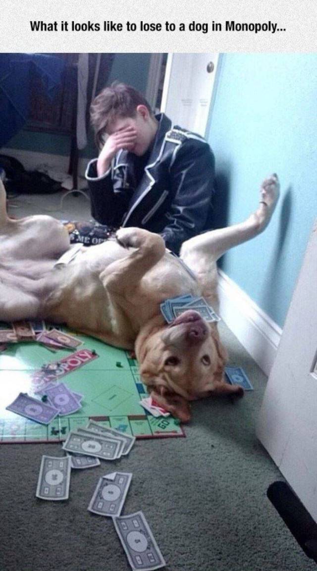 daily picdump 86 pics 3.html - 86 HD Photos | Premium Gallery 2016