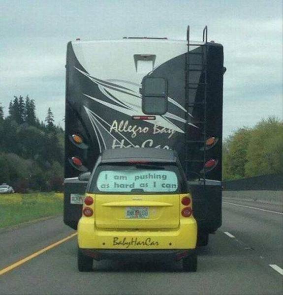 daily picdump 90 pics 7.html - 90 HD Photos | Premium Gallery 2016