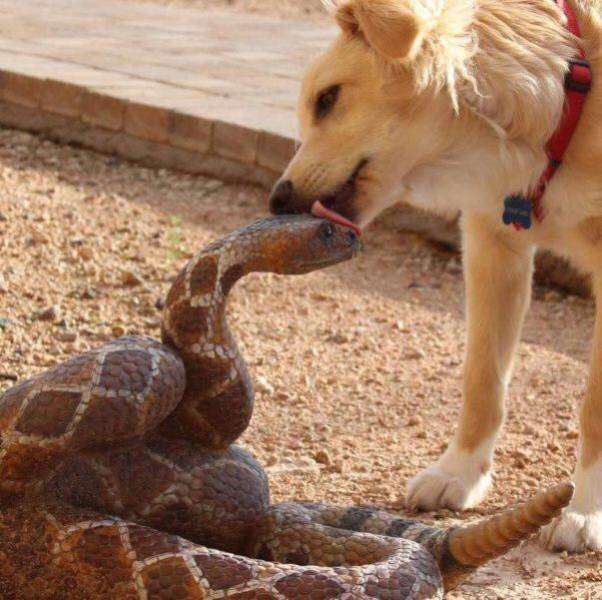 daily picdump 90 pics 7.html - 90 HD Photos | Premium Gallery 2016