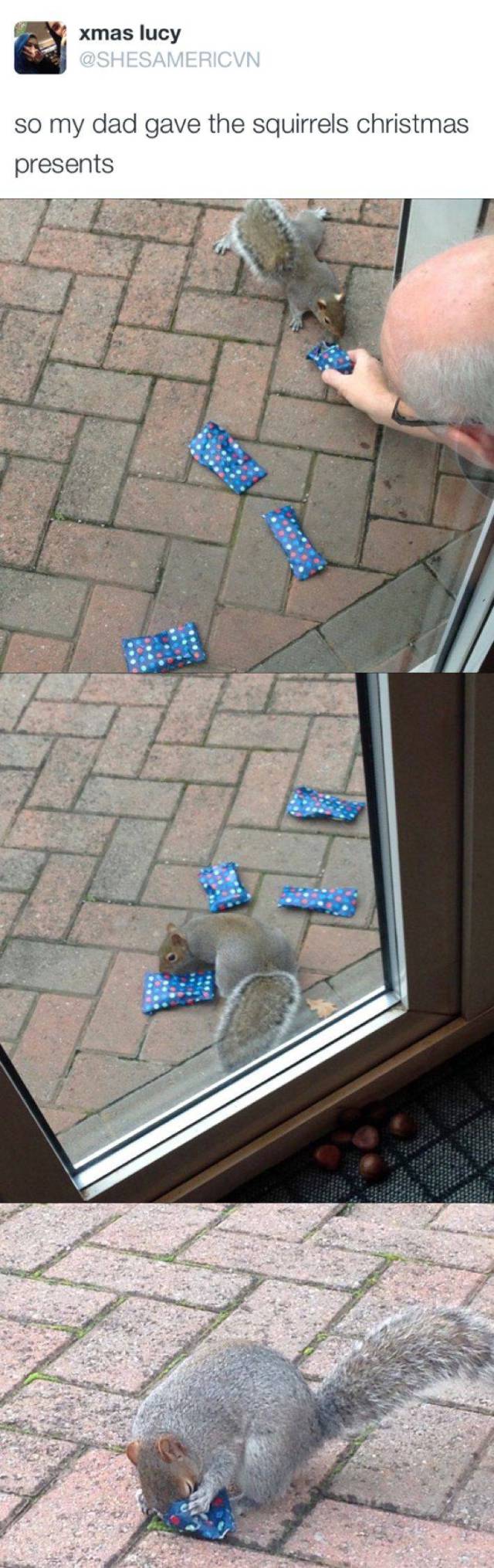 daily picdump 86 pics 7.html - 86 HD Photos | Premium Gallery 2016