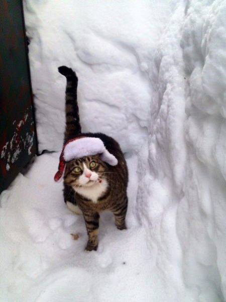 Daily Picdump