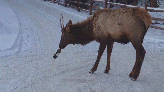 Daily Picdump