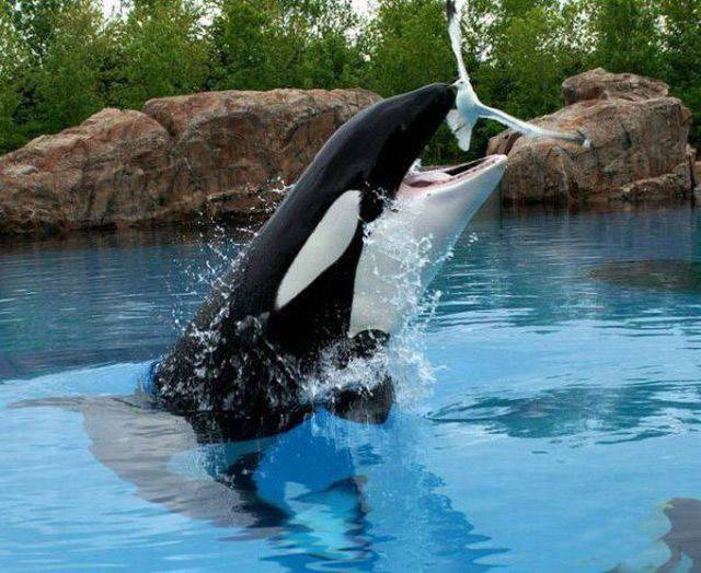 Daily Picdump