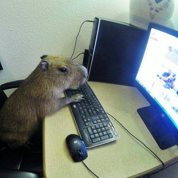 Daily Picdump