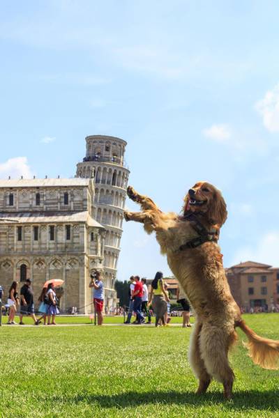 daily picdump 89 pics 35.html - 89 HD Photos | Premium Gallery 2016