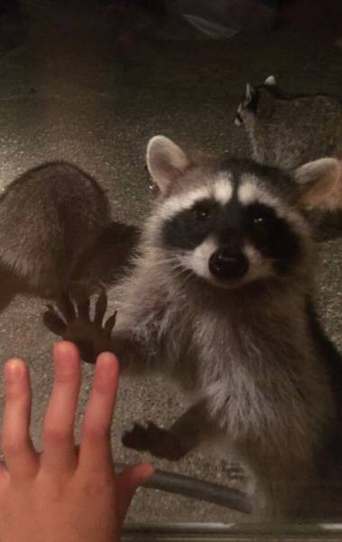 daily picdump 89 pics 35.html - 89 HD Photos | Premium Gallery 2016