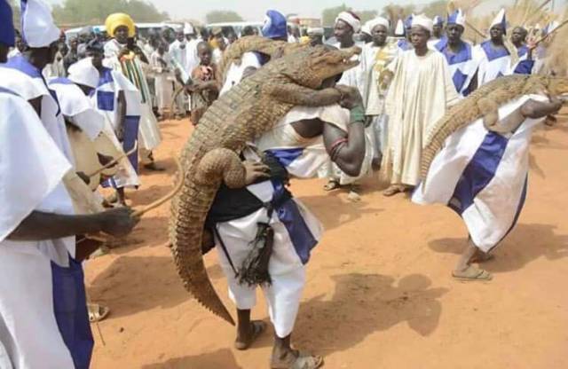daily picdump 89 pics 35.html - 89 HD Photos | Premium Gallery 2016