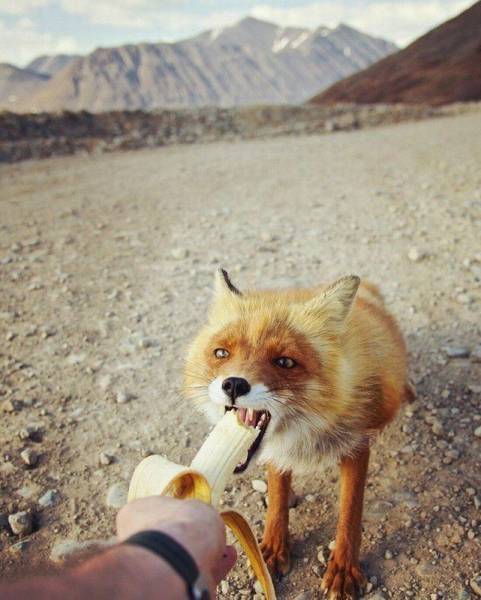 daily picdump 89 pics 35.html - 89 HD Photos | Premium Gallery 2016