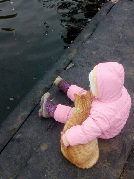 daily picdump 89 pics 35.html - 89 HD Photos | Premium Gallery 2016