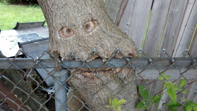 daily picdump 89 pics 35.html - 89 HD Photos | Premium Gallery 2016