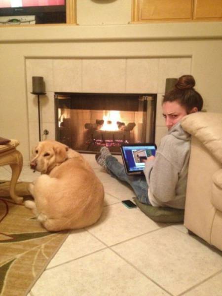 daily picdump 108 pics 40.html - 108 HD Photos | Premium Gallery 2017