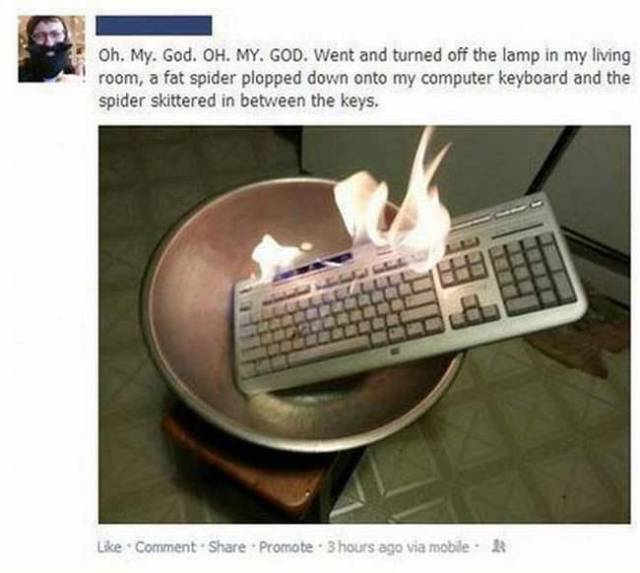 daily picdump 108 pics 40.html - 108 HD Photos | Premium Gallery 2017