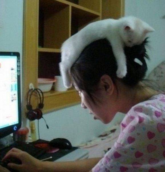 Daily Picdump [WEEKEND EDITION]