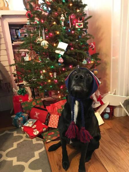 daily picdump 96 pics 33.html - 96 HD Photos | Premium Gallery 2017