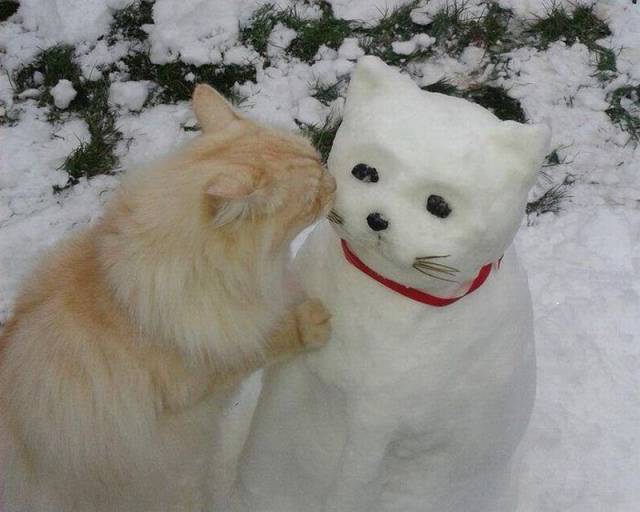 daily picdump 96 pics 33.html - 96 HD Photos | Premium Gallery 2017
