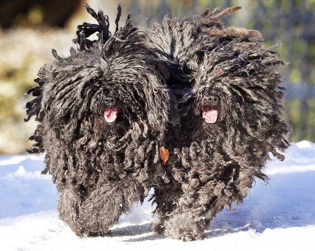 daily picdump 96 pics 33.html - 96 HD Photos | Premium Gallery 2017