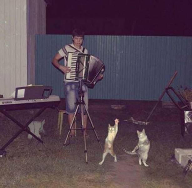 daily picdump 96 pics 33.html - 96 HD Photos | Premium Gallery 2017