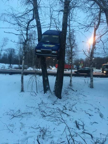 Daily Picdump