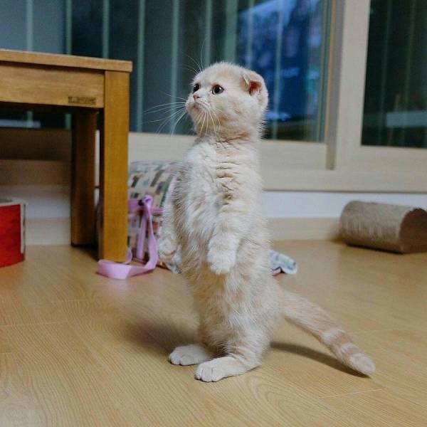 daily picdump 106 pics 12.html - 106 HD Photos | Premium Gallery 2017
