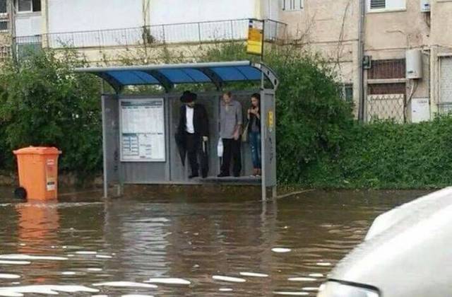 daily picdump 106 pics 12.html - 106 HD Photos | Premium Gallery 2017