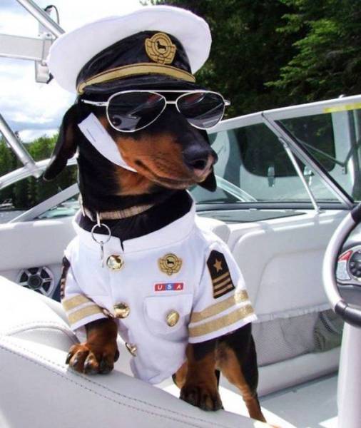 daily picdump 106 pics 12.html - 106 HD Photos | Premium Gallery 2017