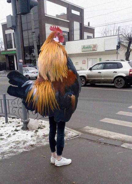 daily picdump 106 pics 12.html - 106 HD Photos | Premium Gallery 2017