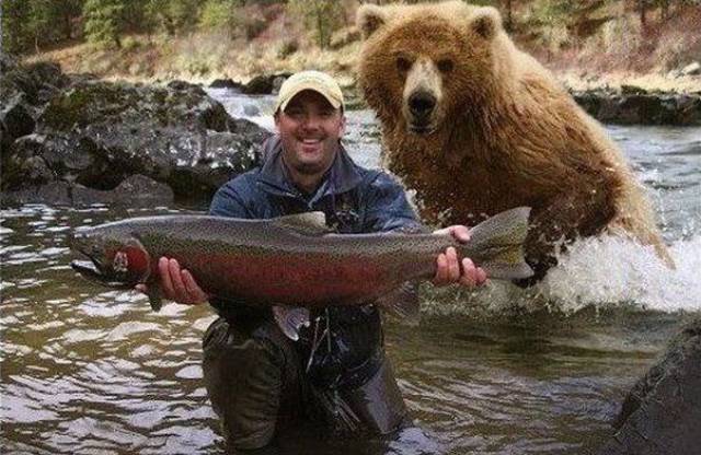 daily picdump 94 pics 13.html - 94 HD Photos | Premium Gallery 2017