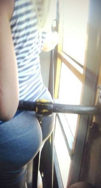 Daily Picdump