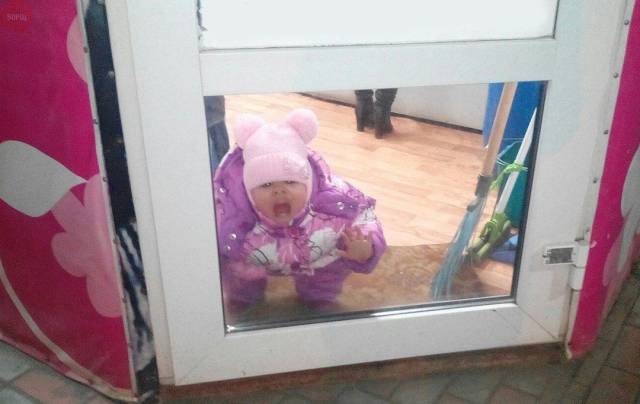 Daily Picdump