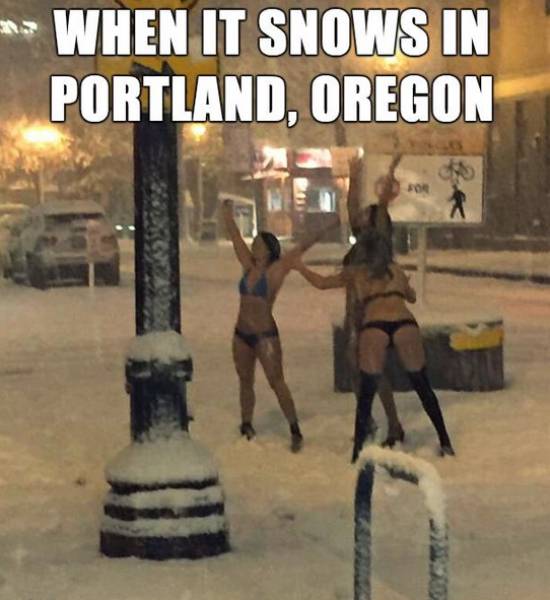 Funny Picdump